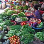 Badan Pangan Nasional: Peran, Tugas, dan Pentingnya bagi Ketahanan Pangan Indonesia