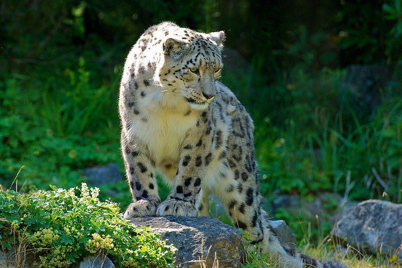 Apakah Reinkarnasi Itu Nyata? Penjelasan Ilmiah, Spiritual, dan Pandangan Logis
